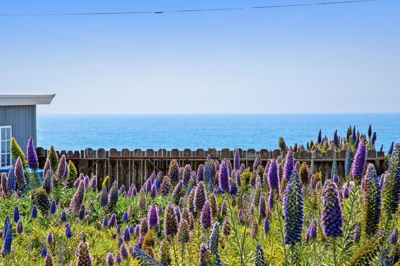 Cozy Carmet Cottage Bodega Bay Luaran gambar