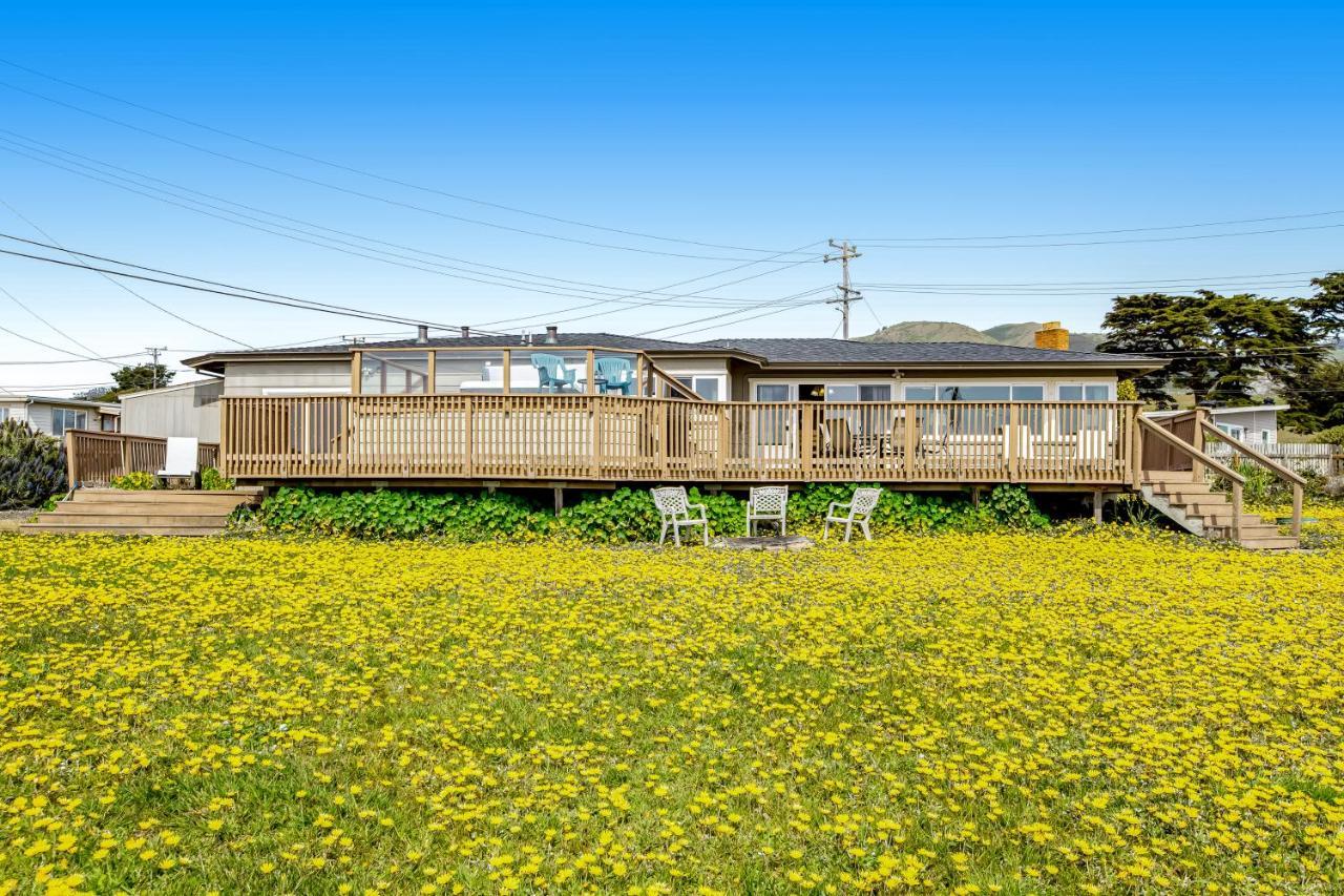 Cozy Carmet Cottage Bodega Bay Luaran gambar
